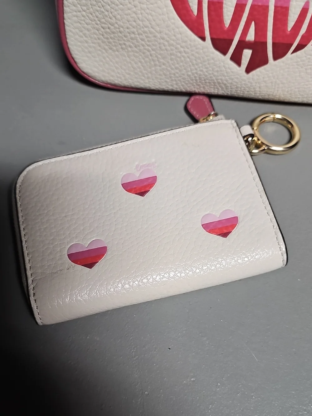 Coach nolita 19